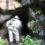 LA CUEVA DE CUZIRISNA DE TEUSTEPE EN BOACO: LA MORADA DE LOS HÉROES